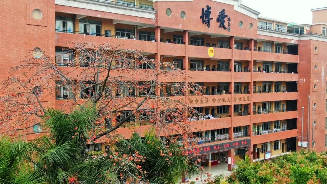 祥聚案例分享|博愛心育，以愛育愛，清遠(yuǎn)市博愛學(xué)校